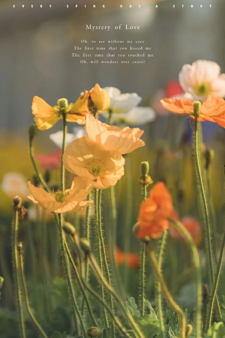 Top Những Mẫu Ảnh Thiên Nhiên Đẹp Nhất Chuẩn Full 4K