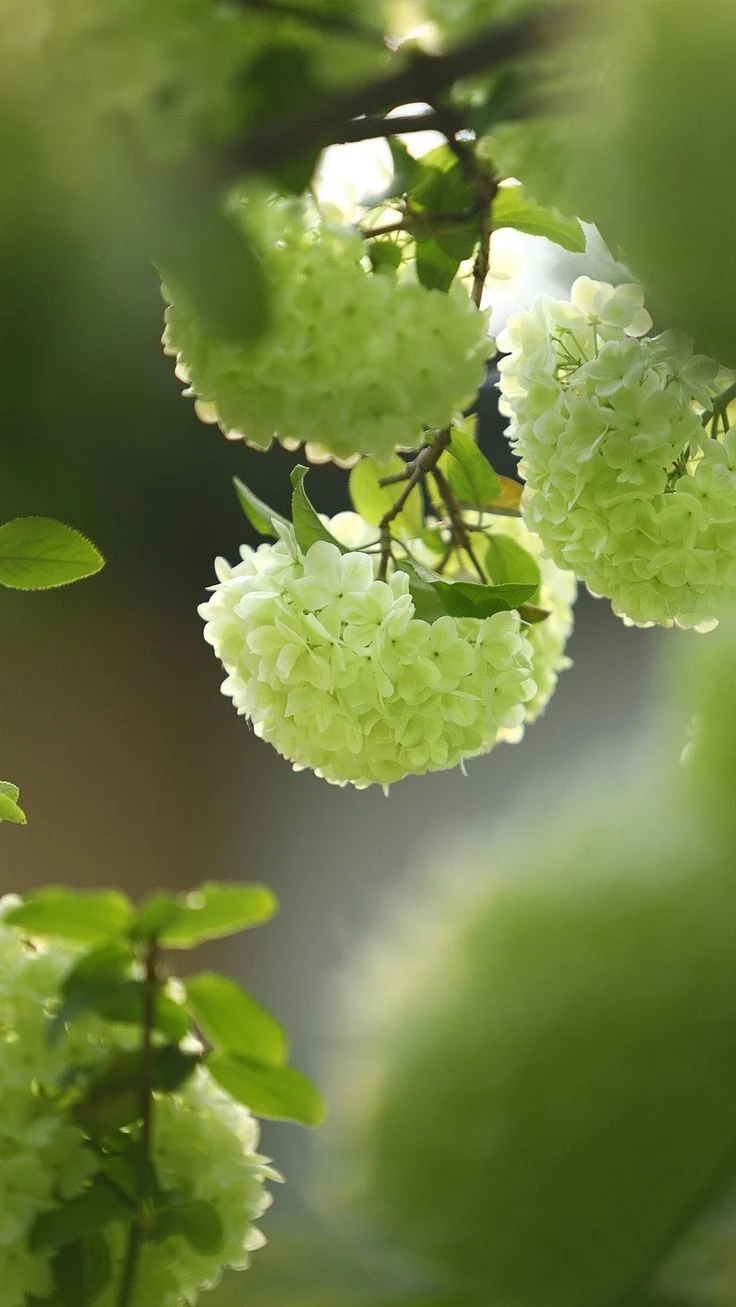 Top Những Mẫu Ảnh Thiên Nhiên Đẹp Nhất Chuẩn Full 4K