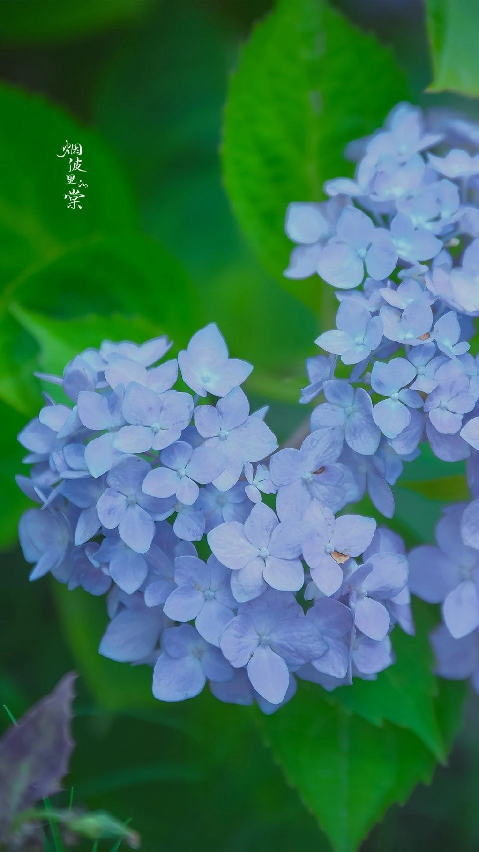 Top Những Mẫu Ảnh Thiên Nhiên Đẹp Nhất Chuẩn Full 4K