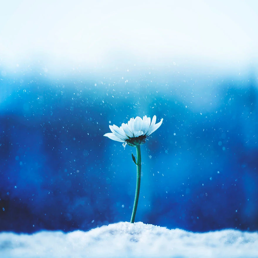 Top Những Mẫu Ảnh Thiên Nhiên Đẹp Nhất Chuẩn Full 4K