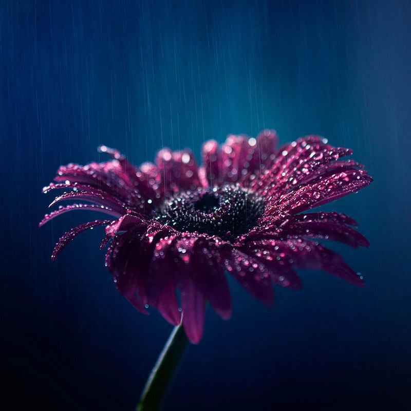 Top Những Mẫu Ảnh Thiên Nhiên Đẹp Nhất Chuẩn Full 4K