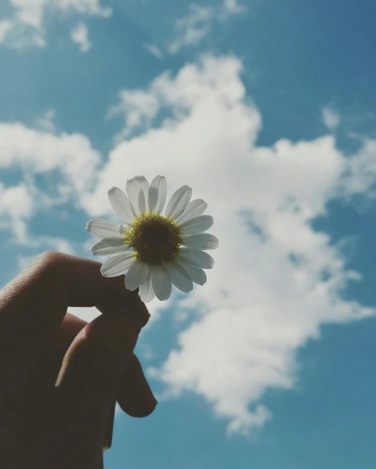 Top Những Mẫu Ảnh Thiên Nhiên Đẹp Nhất Chuẩn Full 4K