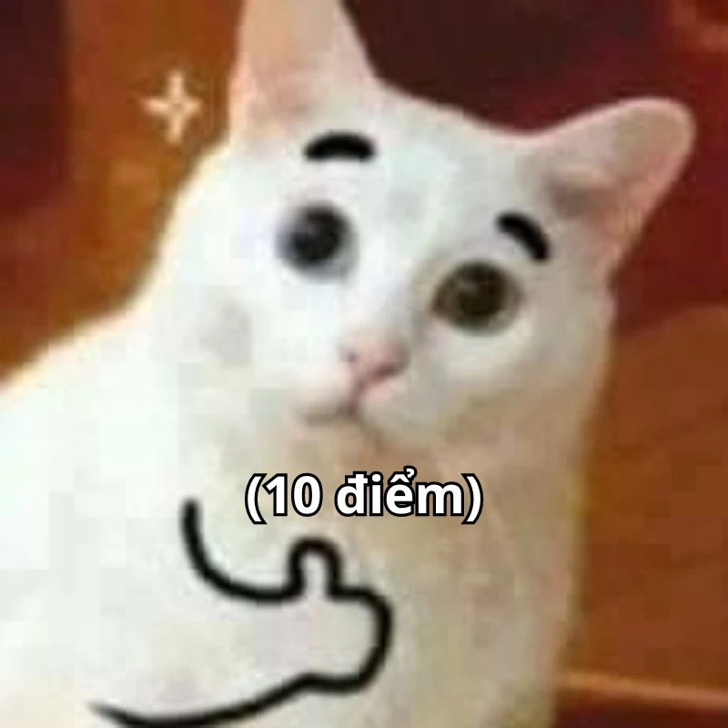 Bộ ảnh meme 10 điểm hài hước, bao đa dạng