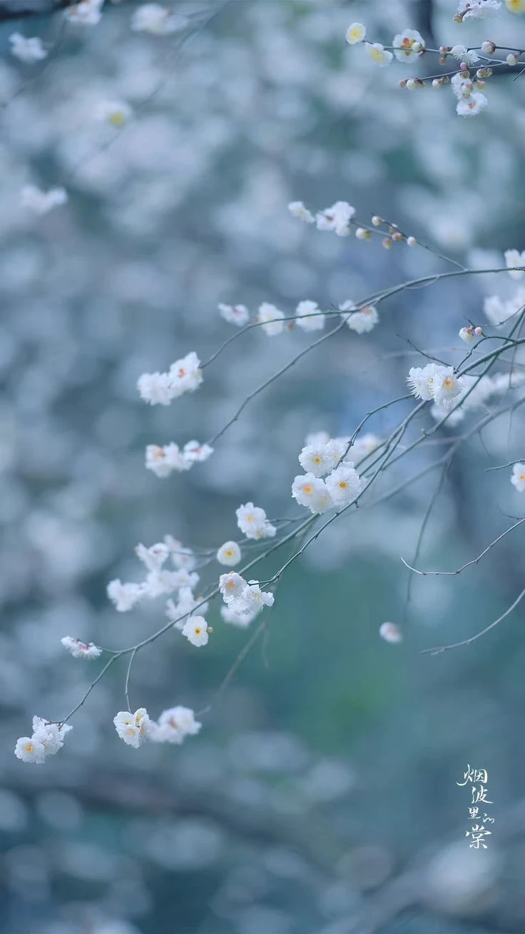 Top Những Mẫu Ảnh Thiên Nhiên Đẹp Nhất Chuẩn Full 4K