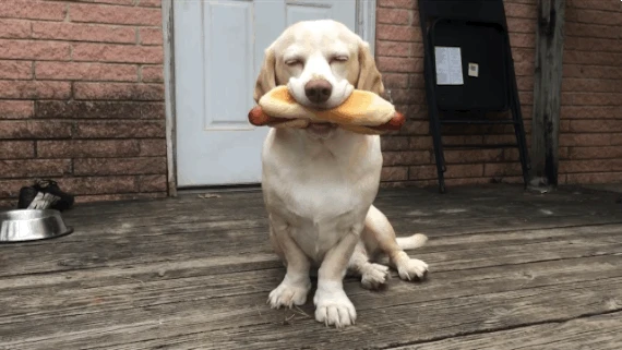 Gần 100 Hình động dễ thương