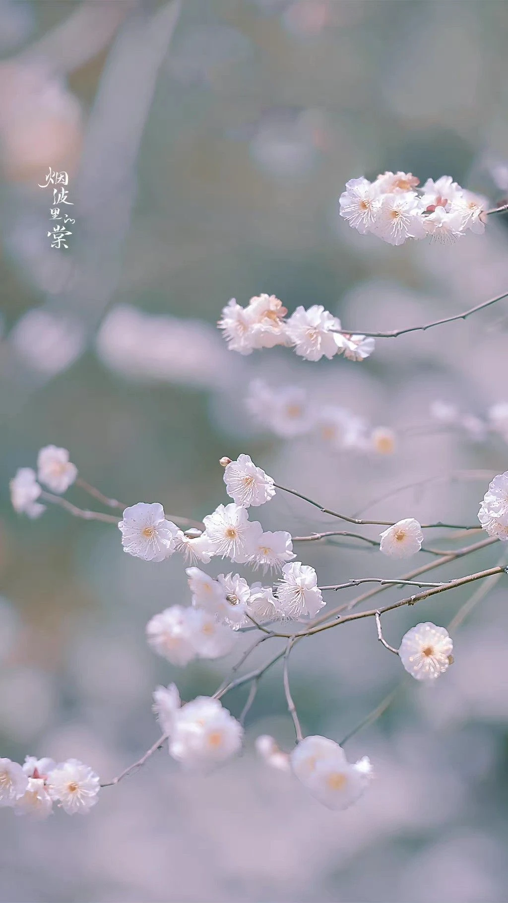 Top Những Mẫu Ảnh Thiên Nhiên Đẹp Nhất Chuẩn Full 4K