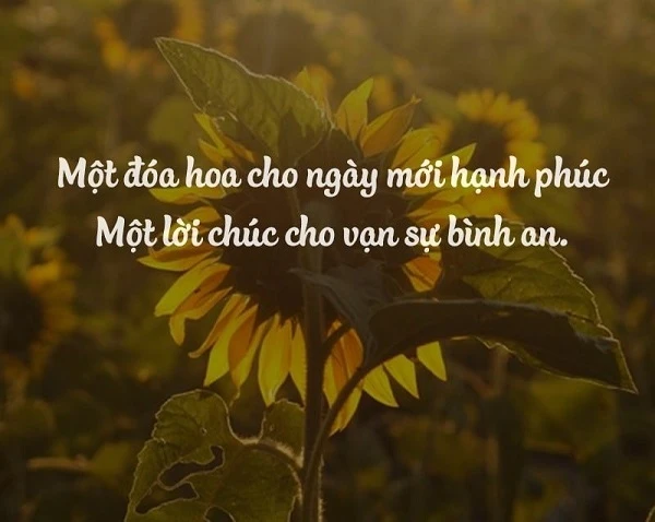 Tổng hợp 50+ hình ảnh truyền cảm hứng học tập đẹp nhất - Số Học Mặt Trời