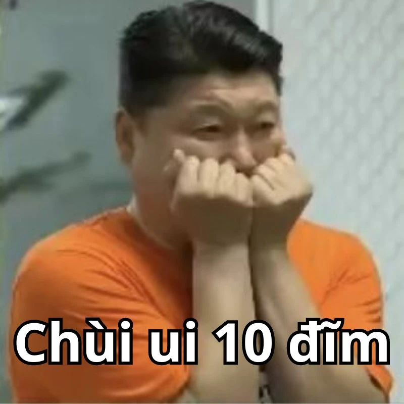 Bộ ảnh meme 10 điểm hài hước, bao đa dạng