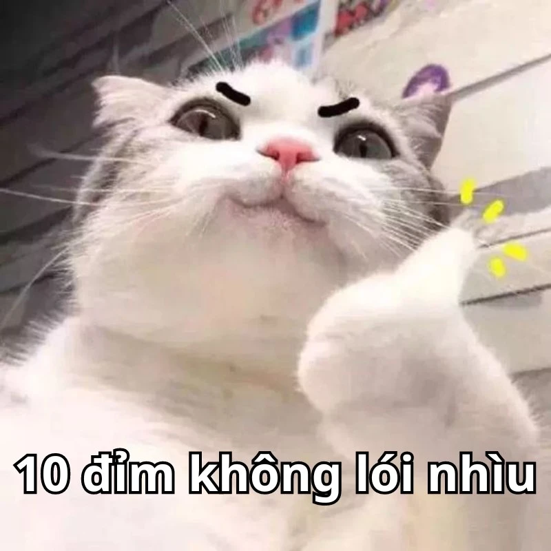 Bộ ảnh meme 10 điểm hài hước, bao đa dạng
