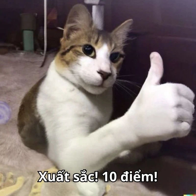 Bộ ảnh meme 10 điểm hài hước, bao đa dạng