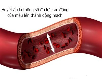 Chỉ số huyết áp và cách đọc đúng ở máy đo