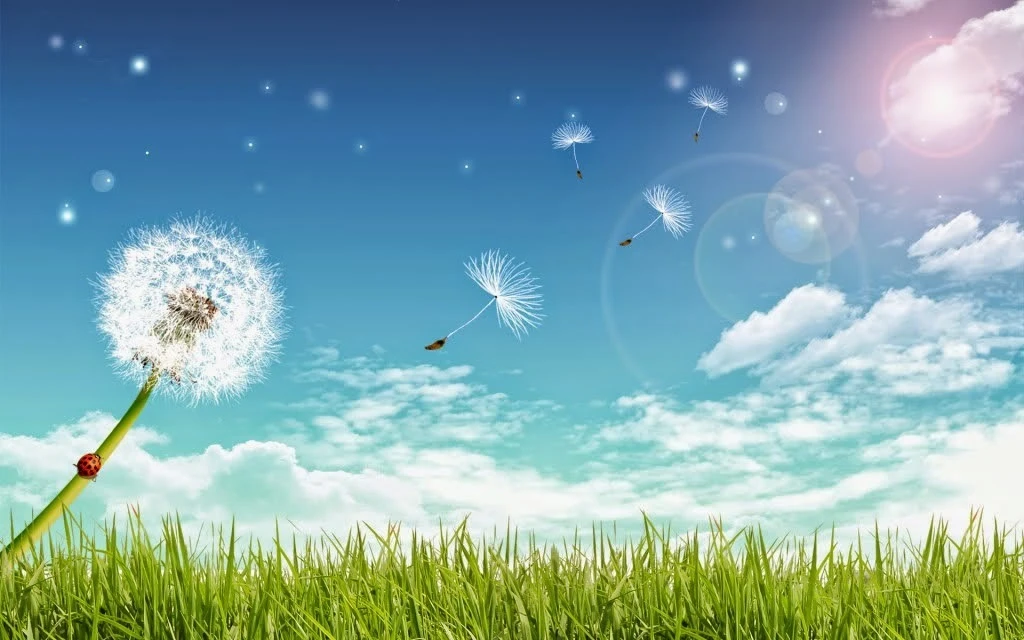 Top Những Mẫu Ảnh Thiên Nhiên Đẹp Nhất Chuẩn Full 4K