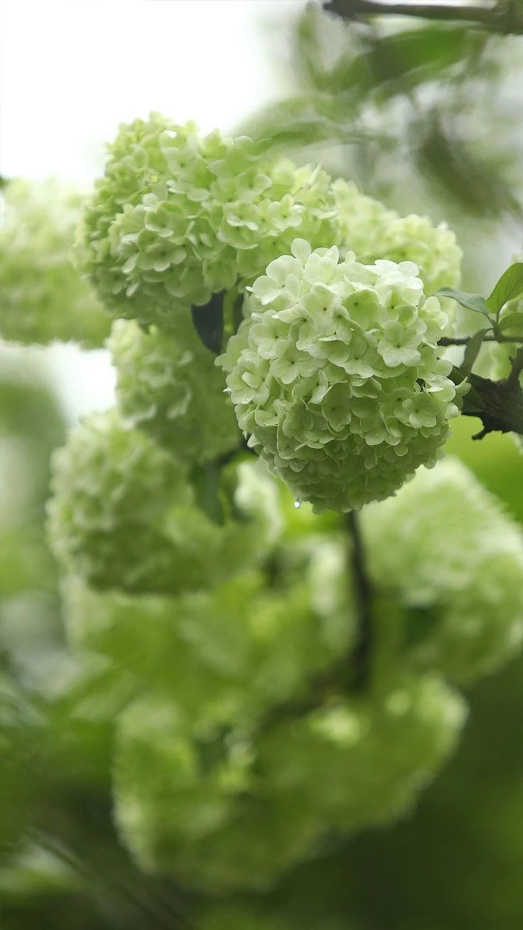 Top Những Mẫu Ảnh Thiên Nhiên Đẹp Nhất Chuẩn Full 4K