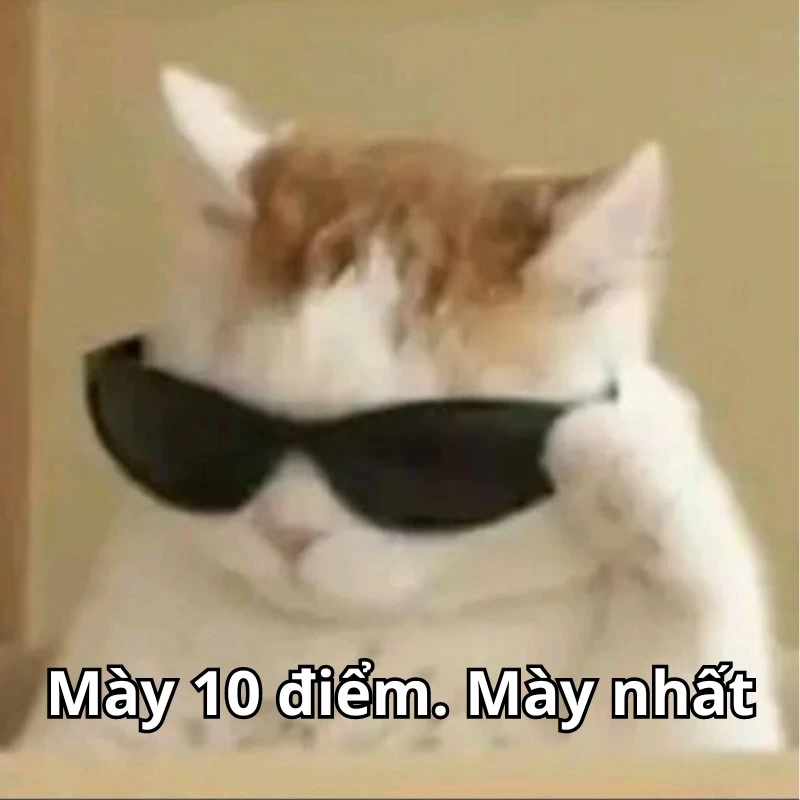 Bộ ảnh meme 10 điểm hài hước, bao đa dạng