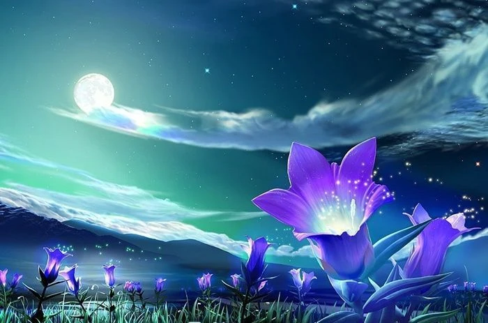 Top Những Mẫu Ảnh Thiên Nhiên Đẹp Nhất Chuẩn Full 4K