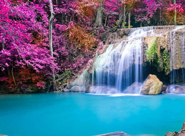 Top Những Mẫu Ảnh Thiên Nhiên Đẹp Nhất Chuẩn Full 4K