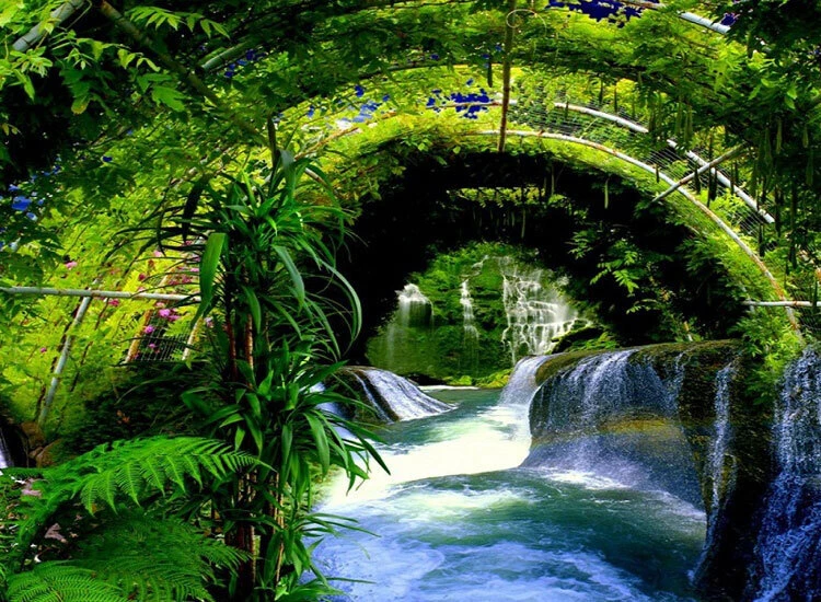 Top Những Mẫu Ảnh Thiên Nhiên Đẹp Nhất Chuẩn Full 4K