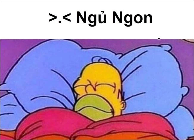 Bộ sưu tập tranh ngủ độc đáo, dễ thương và hài hước