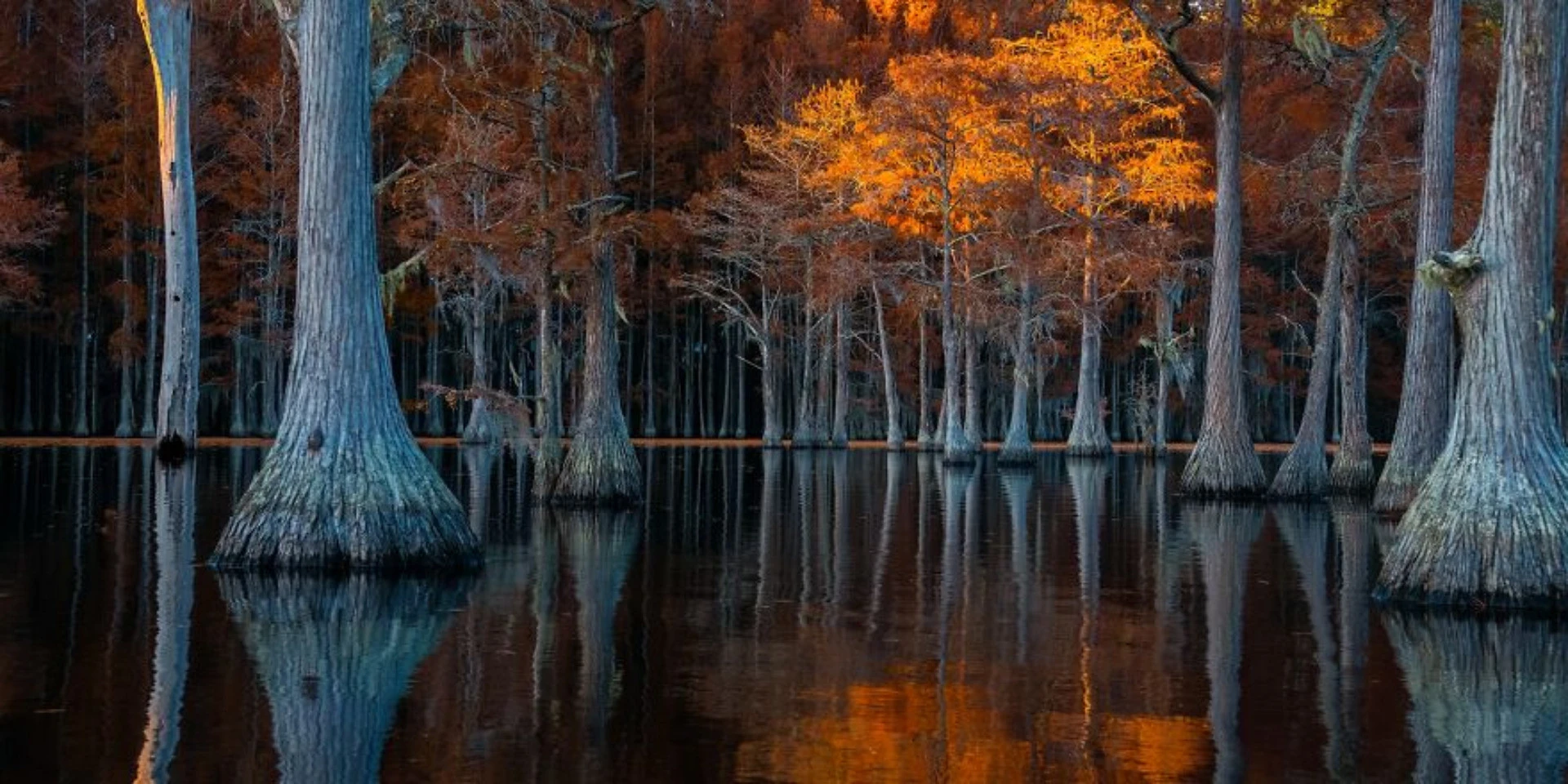 Ngắm 20 bức ảnh thiên nhiên đẹp nhất thế giới