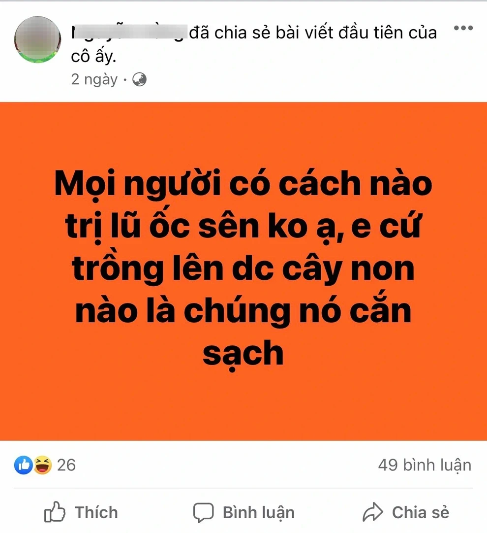 Người trồng rau tại nhà mách nhau bí kíp trị ốc sên hiệu quả