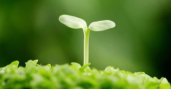 Tổng hợp 50+ hình ảnh truyền cảm hứng học tập đẹp nhất - Số Học Mặt Trời