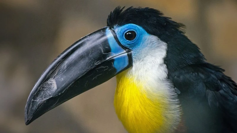 TOP 22 cách căn góc chụp ảnh đẹp cho nam và nữ