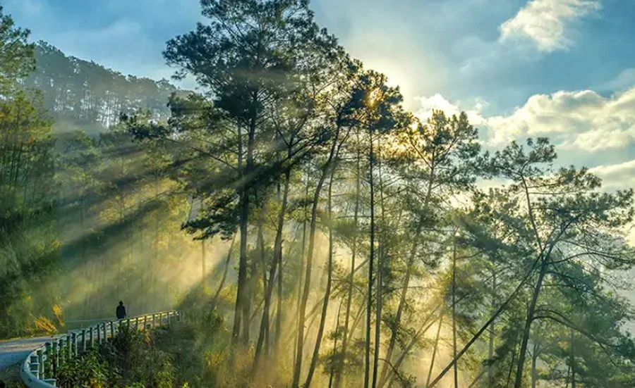 Top 50+ hình ảnh về vẻ đẹp Hà Giang (xuất sắc)