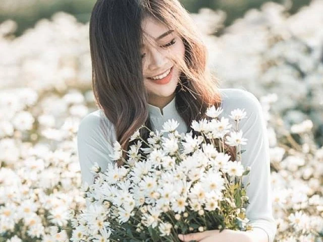 NÉT ĐẸP DỊU DÀNG GỌI GIÓ ĐÔNG VỀ CỦA HOA CÚC HỌA MI