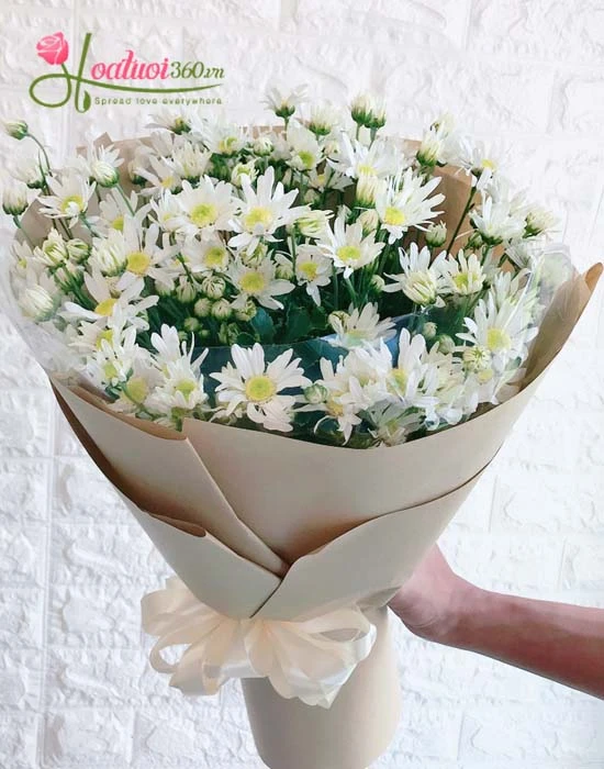 NÉT ĐẸP DỊU DÀNG GỌI GIÓ ĐÔNG VỀ CỦA HOA CÚC HỌA MI