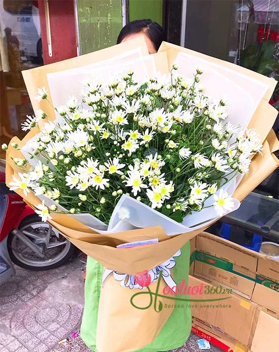 NÉT ĐẸP DỊU DÀNG GỌI GIÓ ĐÔNG VỀ CỦA HOA CÚC HỌA MI