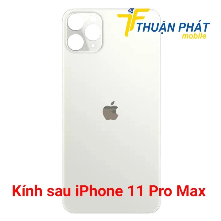 Thay mặt kính sau iPhone 11 Pro Max