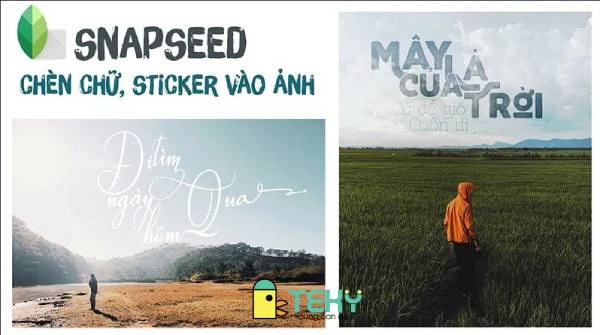 9 phần mềm ghép chữ vào ảnh đẹp như thiết kế chuyên nghiệp