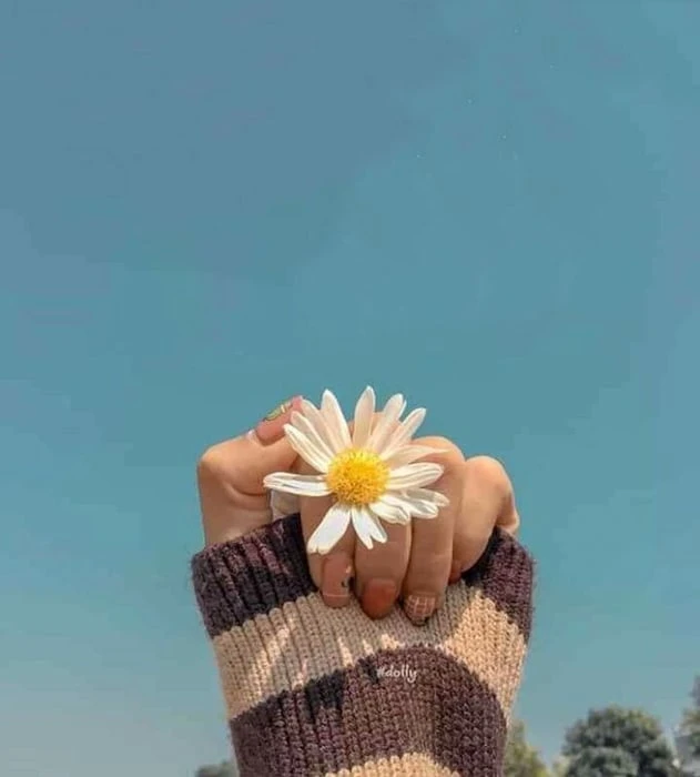 Bức tranh vẽ hoa Cúc Họa Mi kết hợp với bầu trời đẹp đến ngẩn ngơ