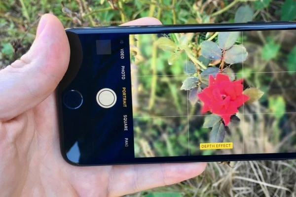 Hướng dẫn cách xoá phông ảnh trên iphone dễ dàng thực hiện nhất