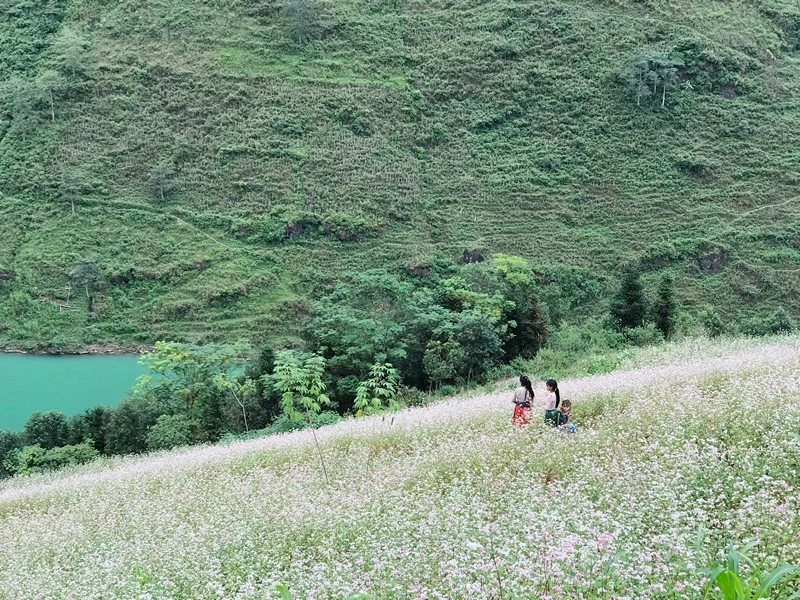 Top 50+ hình ảnh về vẻ đẹp Hà Giang (xuất sắc)