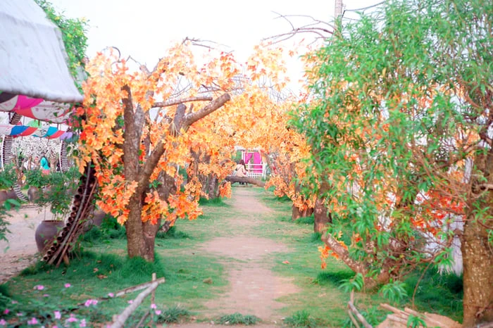 Hình nền ghép ảnh gia đình cực đẹp