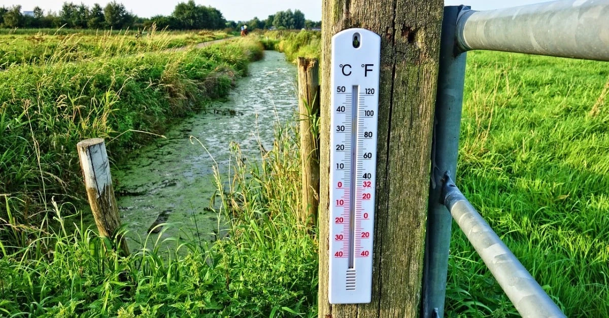 Độ C và độ F: Cách quy đổi nhanh chóng và chính xác