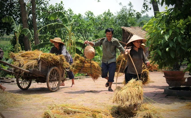 Ảnh đẹp: Hòa mình vào Vẻ đẹp của Làng Quê Việt Nam - Bộ sưu tập hình ảnh tuyệt vời