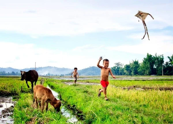 Ảnh đẹp: Hòa mình vào Vẻ đẹp của Làng Quê Việt Nam - Bộ sưu tập hình ảnh tuyệt vời