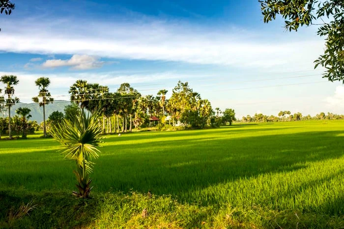 Ảnh đẹp: Hòa mình vào Vẻ đẹp của Làng Quê Việt Nam - Bộ sưu tập hình ảnh tuyệt vời