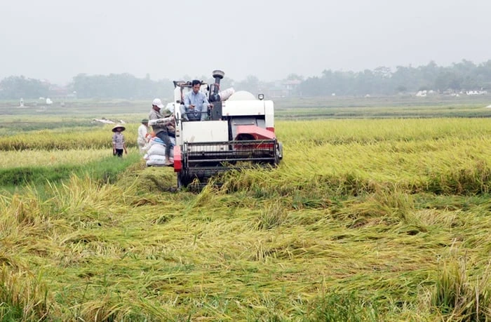 Ảnh đẹp: Hòa mình vào Vẻ đẹp của Làng Quê Việt Nam - Bộ sưu tập hình ảnh tuyệt vời