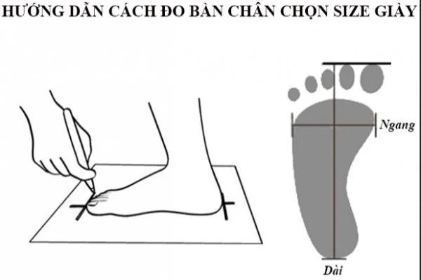 Cách đo và tính size giày khi mua hàng Mỹ siêu chuẩn cho nam, nữ