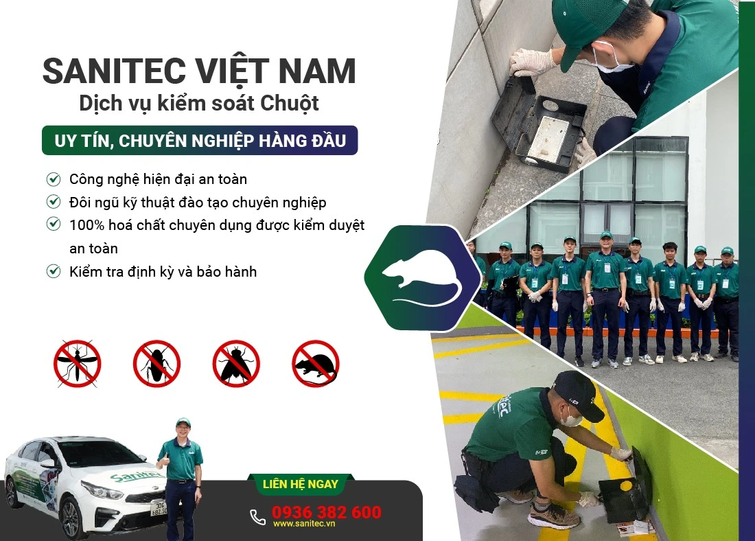 HƯỚNG DẪN 10 CÁCH ĐUỔI CHUỘT HIỆU QUẢ VĨNH VIỄN MÀ AI CŨNG NÊN BIẾT