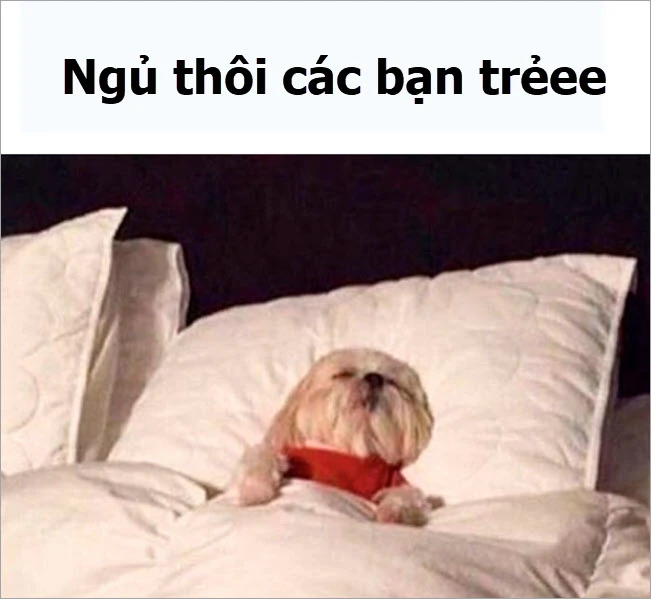 Bộ sưu tập tranh ngủ độc đáo, dễ thương và hài hước