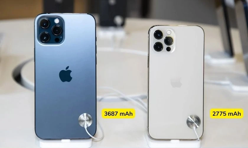 So sánh iPhone 12 Pro và 12 Pro Max: Nên mua dòng nào?