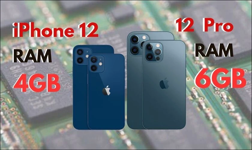 So sánh iPhone 12 và 12 Pro - Máy nào tốt hơn?