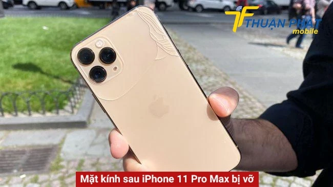 Thay mặt kính sau iPhone 11 Pro Max