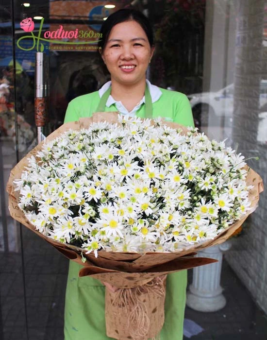 NÉT ĐẸP DỊU DÀNG GỌI GIÓ ĐÔNG VỀ CỦA HOA CÚC HỌA MI