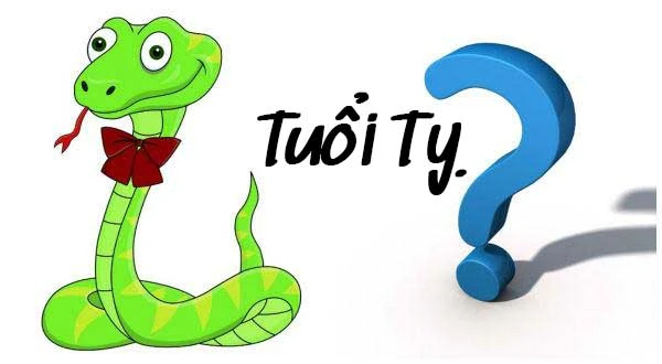 Người tuổi Tỵ mệnh gì? Người tuổi Tỵ hợp với tuổi nào, kỵ tuổi nào?