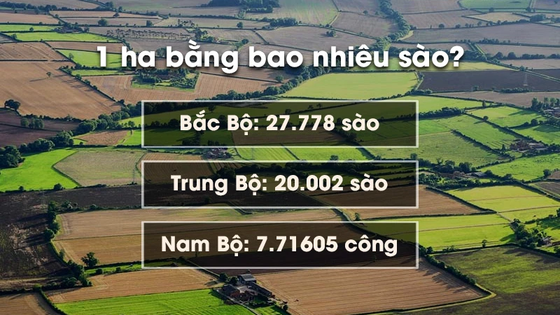 1ha bằng bao nhiêu m2, bao nhiêu km2, bao nhiêu sào, mẫu?